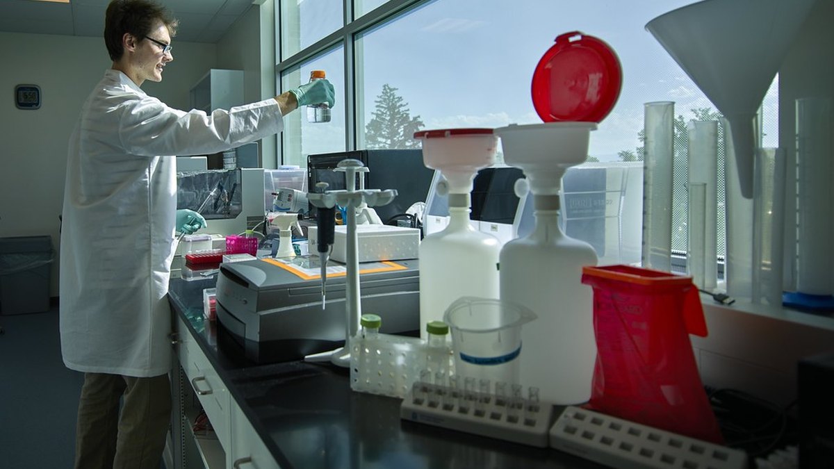 Regenerative-medicine laboratory where Muse cell therapies are studied and prepared — a Panacea Bio Chem science monograph by Bogdan Dicoias